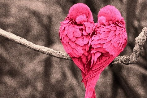 Un verano sintigo,&nbsp;sinmigo